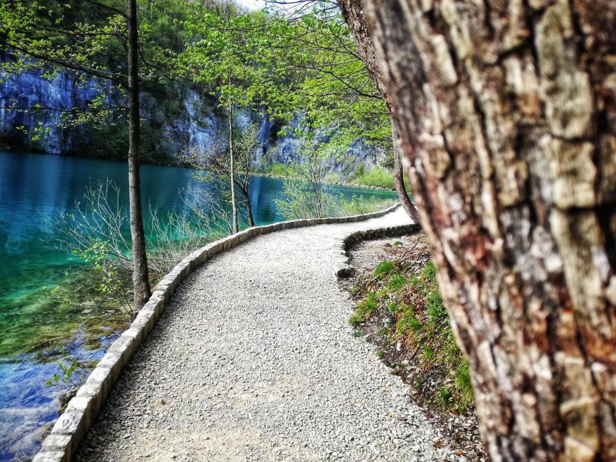 Attico Viva Acomodação com café da manhã Plitvička Jezera Exterior foto
